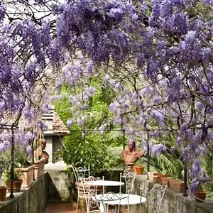 Appartement Sant' Agostino, Lucques